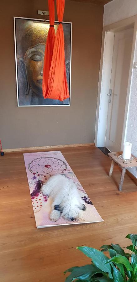 Kleines Haeuschen Im Gruenen Vila Monheim  Exterior foto